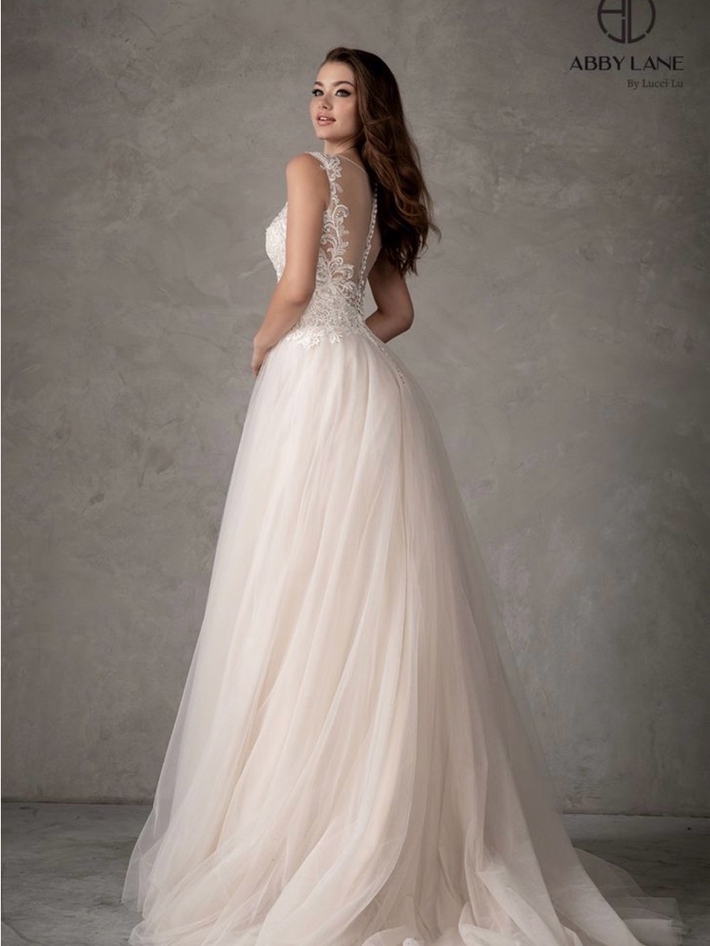 Blush Lace A-Line Wedding Dress - Picture 3 of 10